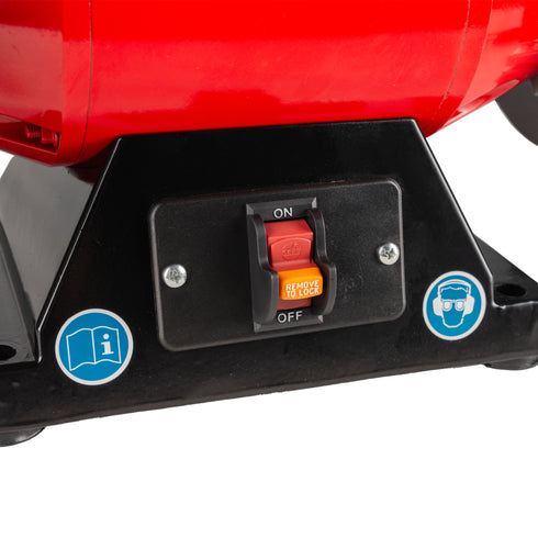 F. Dick SM100 Belt Grinder Knife Sharpener, 110V