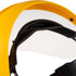 Regional Safety Face Shield with Adjustable Head Size