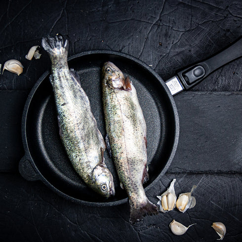 AMT Induction Frying Pan