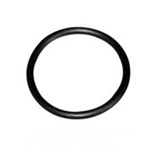 Server O-Ring Replacement for Condiment Pump, 1 5/16"