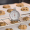 Taylor Oven Dial Thermometer