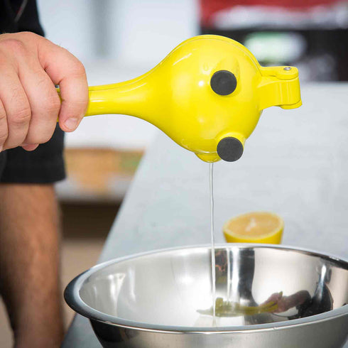 Artisanat de table | Presse-agrumes, aluminium enduit