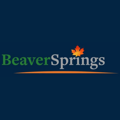 Beaver Springs
